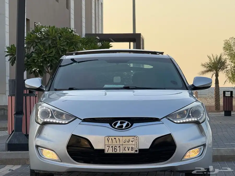 فيلوستر2013 14