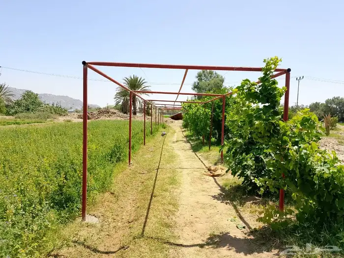كلادينج استركشر المنيوم حداده سكرت جبس بورد 9