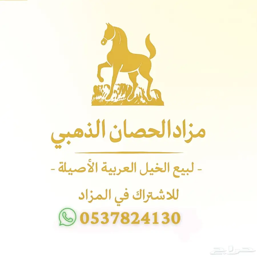 مزاد الحصان الذهبي يرحب بكم 0