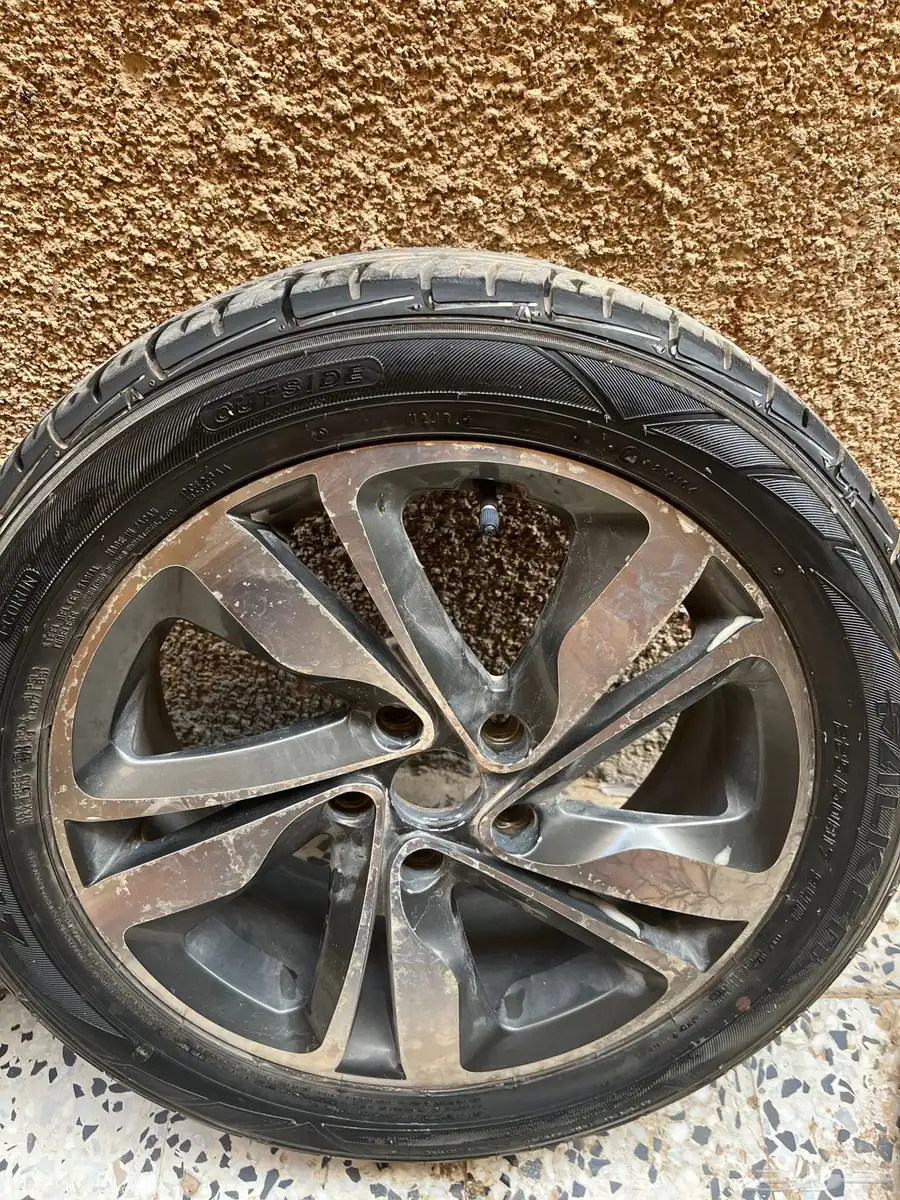 جنوط زينه الانترا. 11