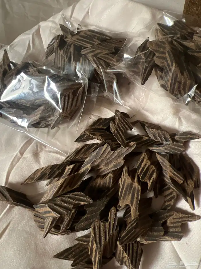 كمبودي تايجر 1