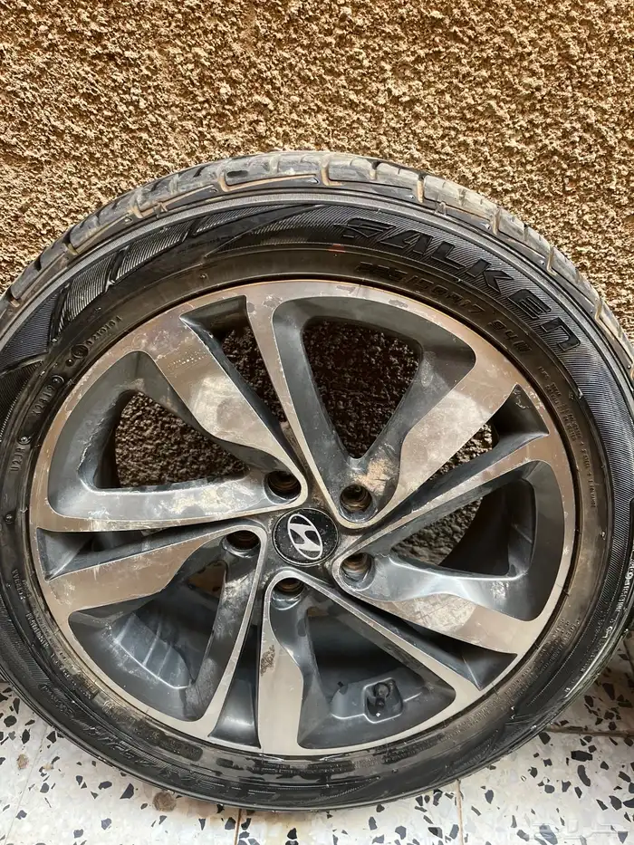 جنوط زينه الانترا. 12