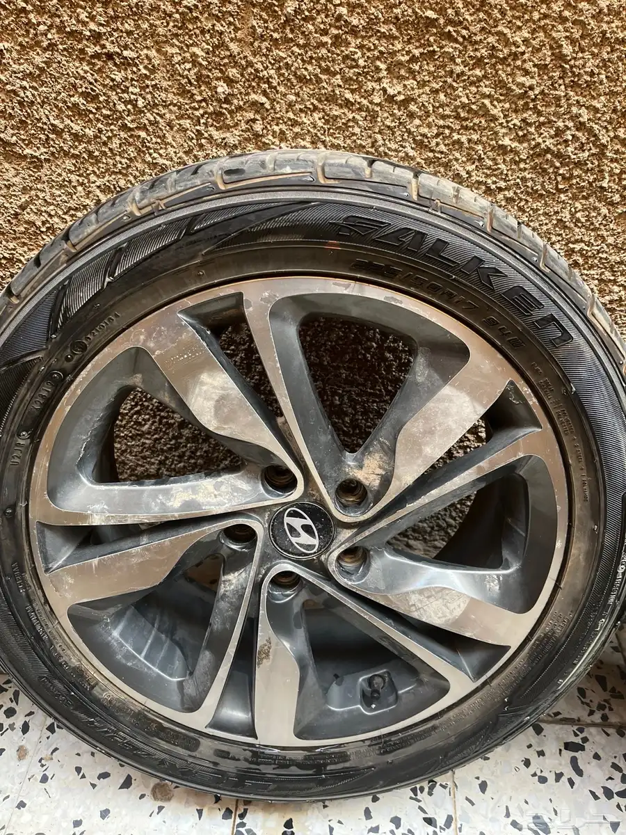 جنوط زينه الانترا. 12