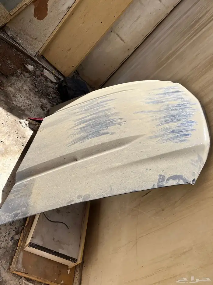 كبوت موستنج للبيع 0