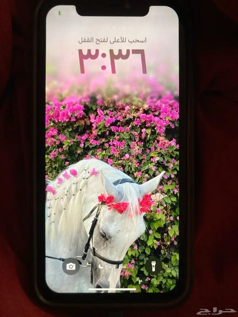 ايفون 11 0