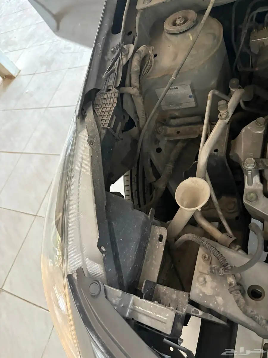 صني 2019 17