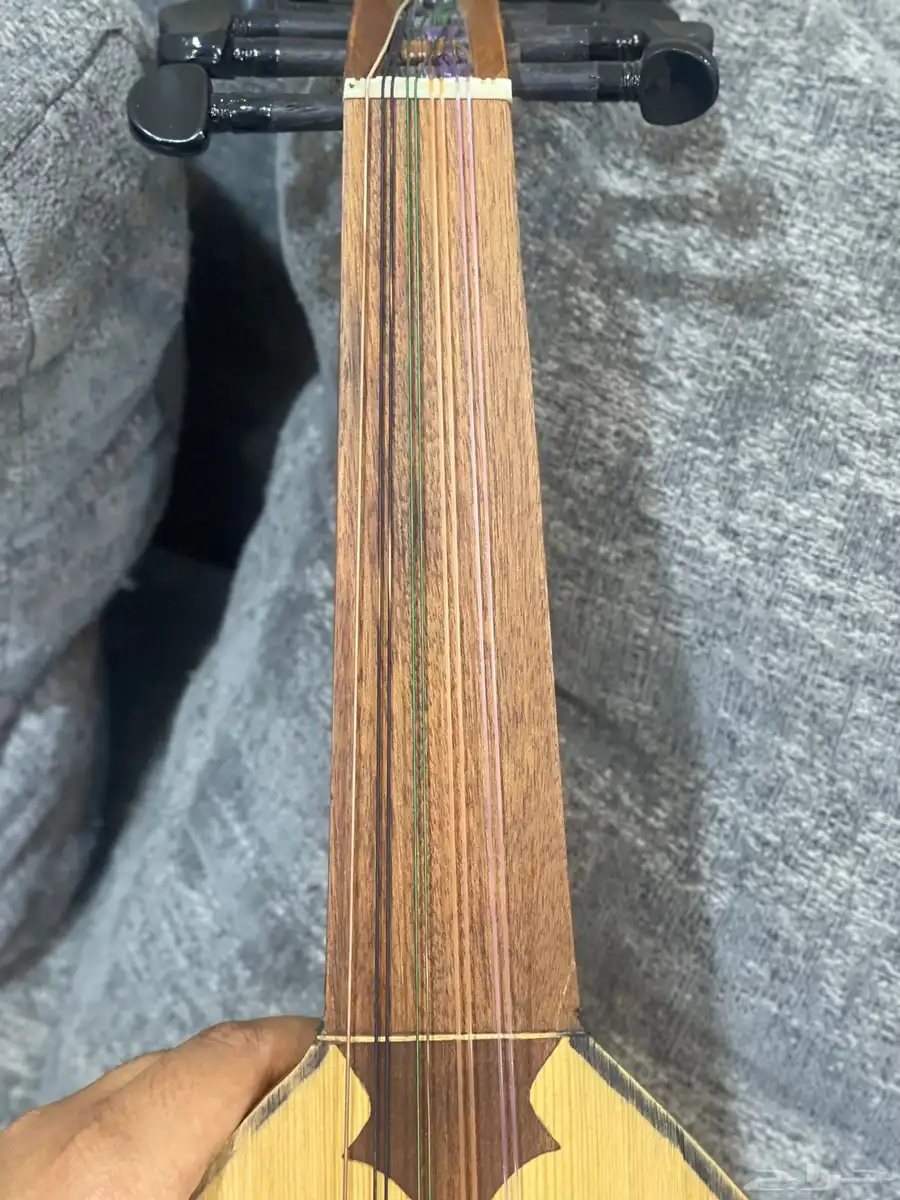 عود مصري 6