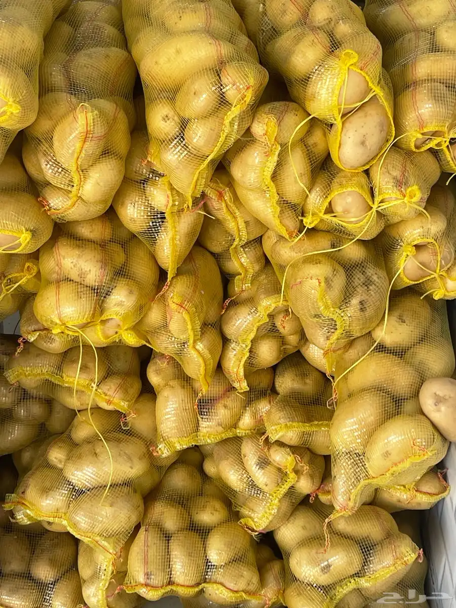 بطاطس قلي وطبخ 1