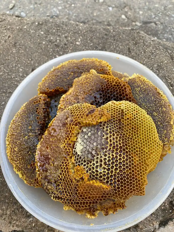 عسل طبيعي بلدي ( سمره   طلح   سدر ) 2