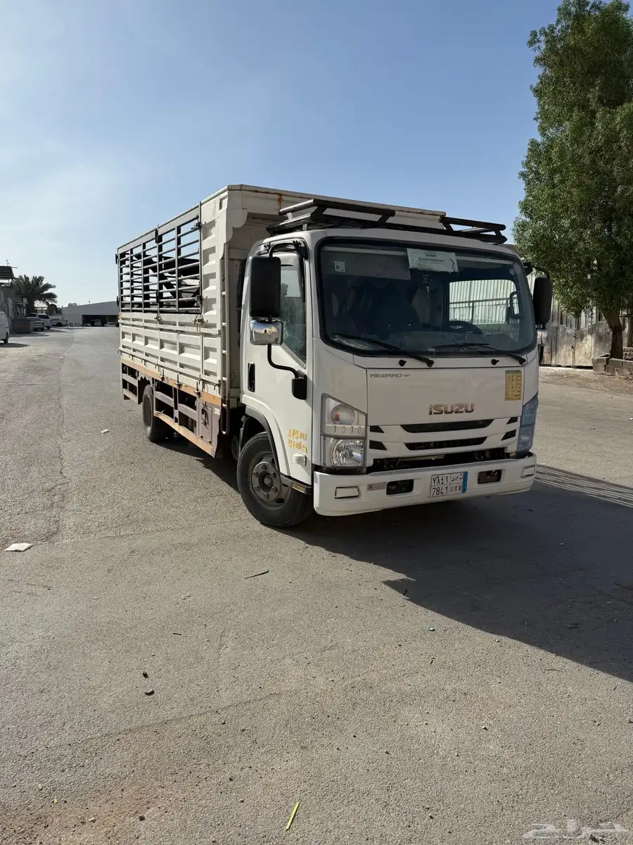 دينة ايسيزو بحالة الوكالة 2