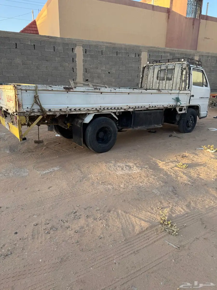 دينا ايسوزو 92 2