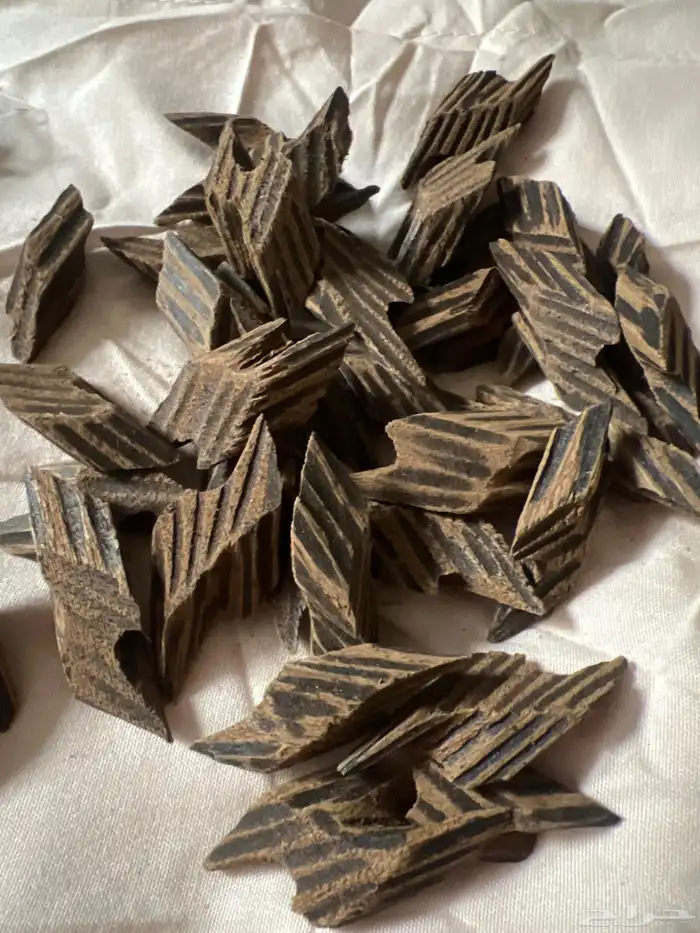 كمبودي تايجر 0