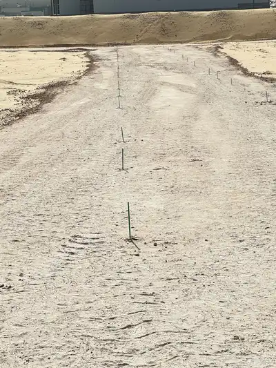 مساح بالشرقية 14
