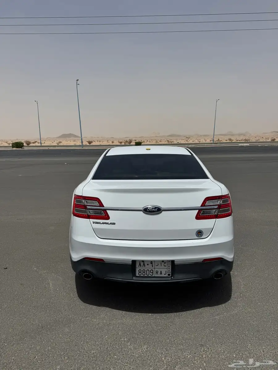 تورس 2013 13