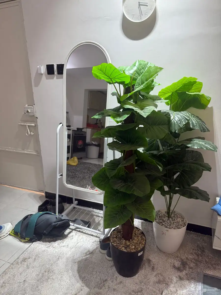 اثاث مستعمل 15