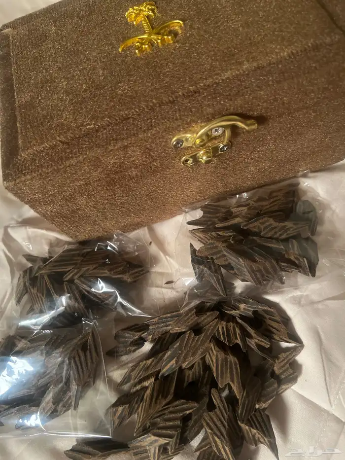 كمبودي تايجر 2