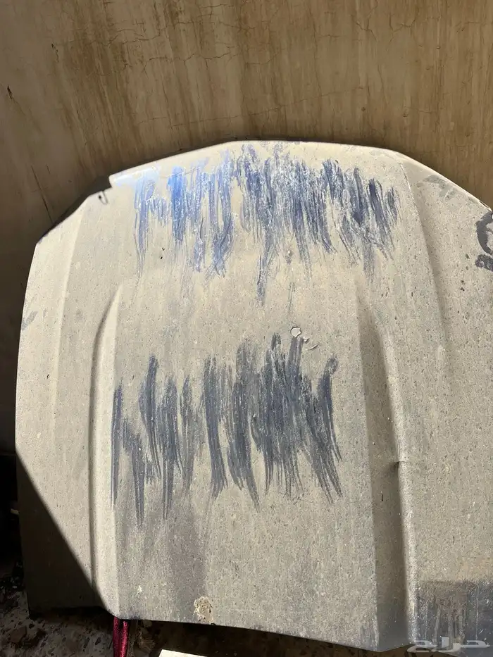 كبوت موستنج للبيع 1