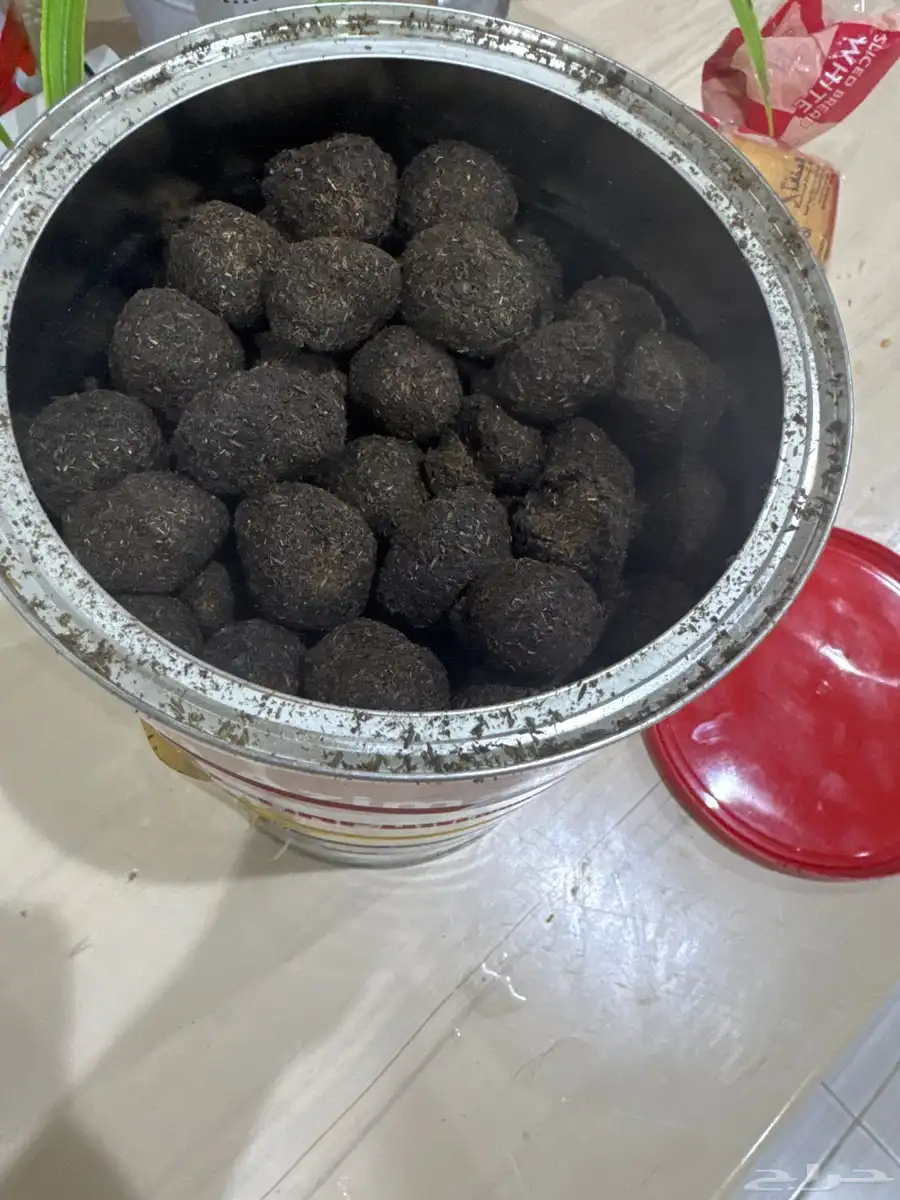بخور 1