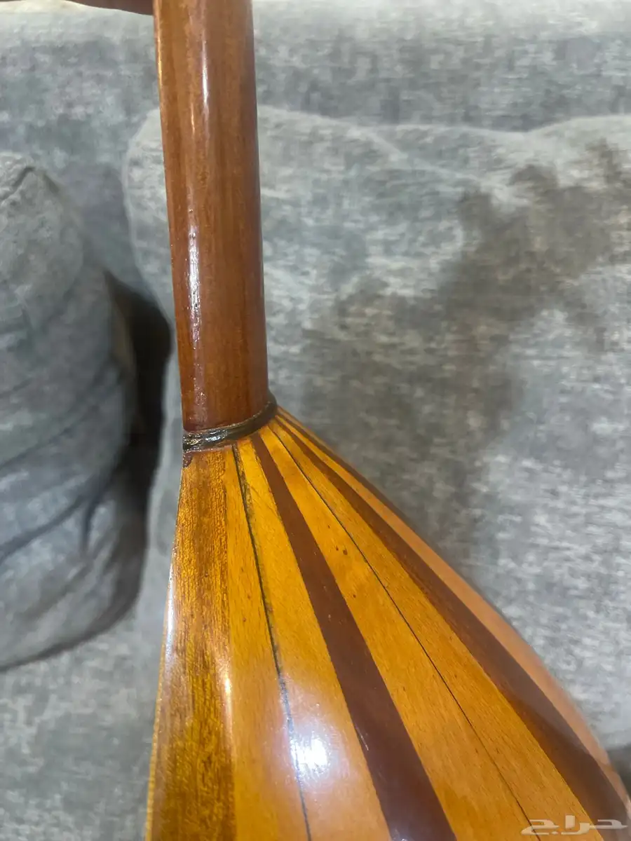 عود مصري 1