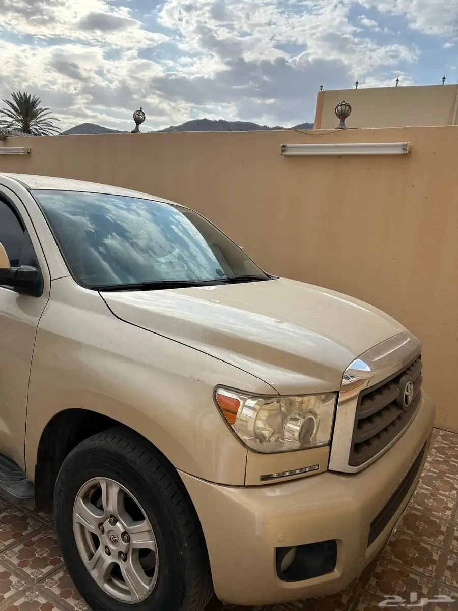 سكويا 2013 1