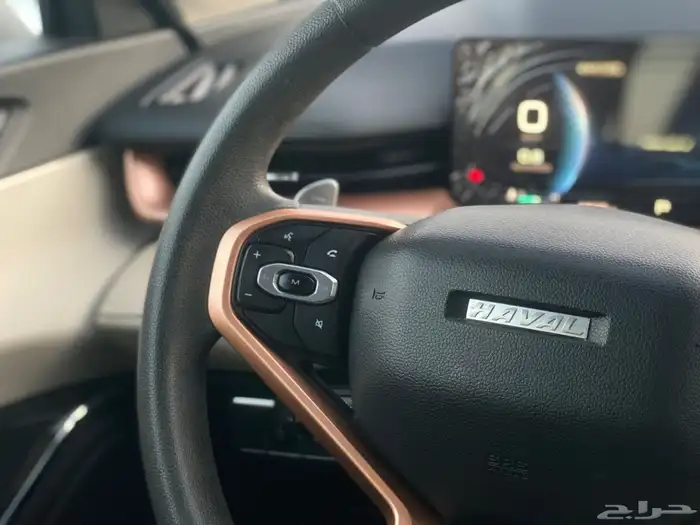 هافال H6 2023 سعودي 37