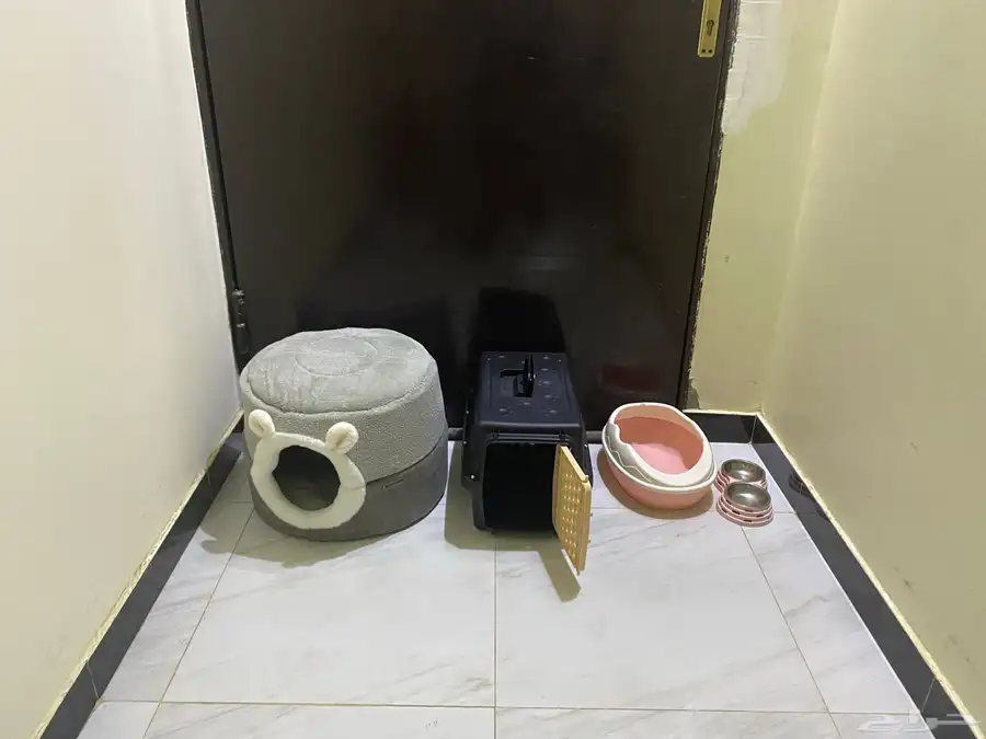 ادوات القطه 0