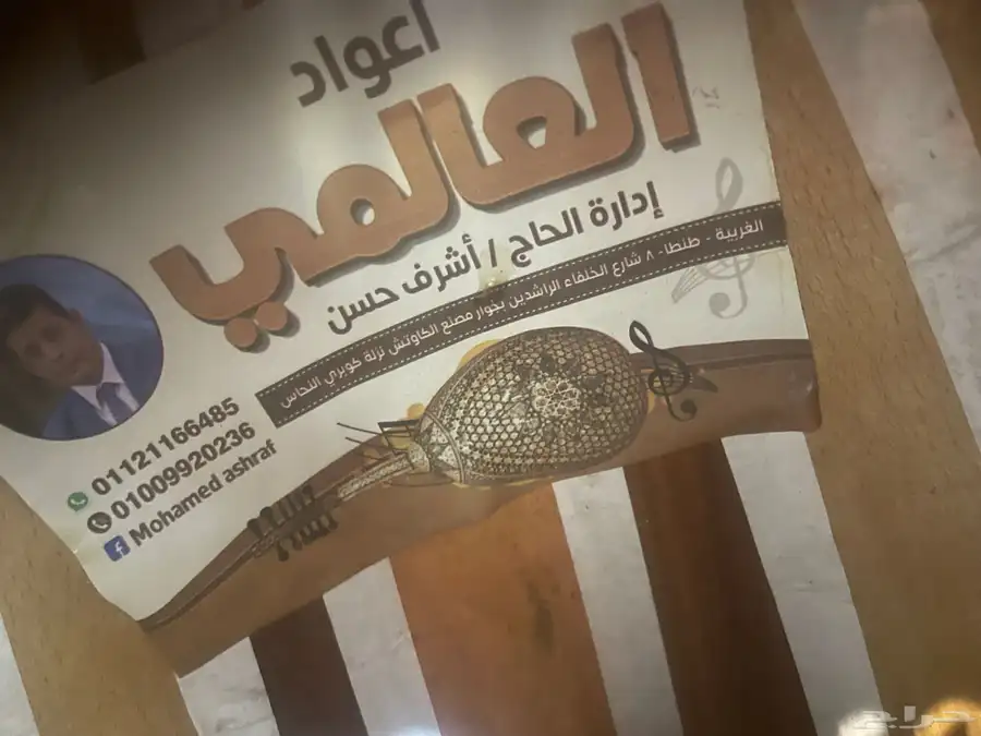 عود مصري 9
