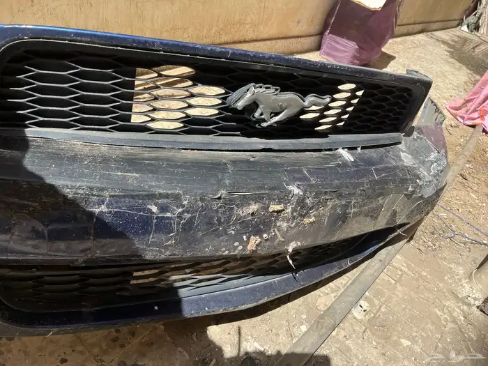 كبوت موستنج للبيع 2