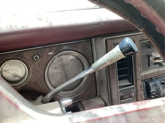 بيوك بارك أفنيو 1979 للبيع على السوم 10