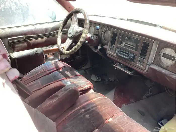 بيوك بارك أفنيو 1979 للبيع على السوم 6