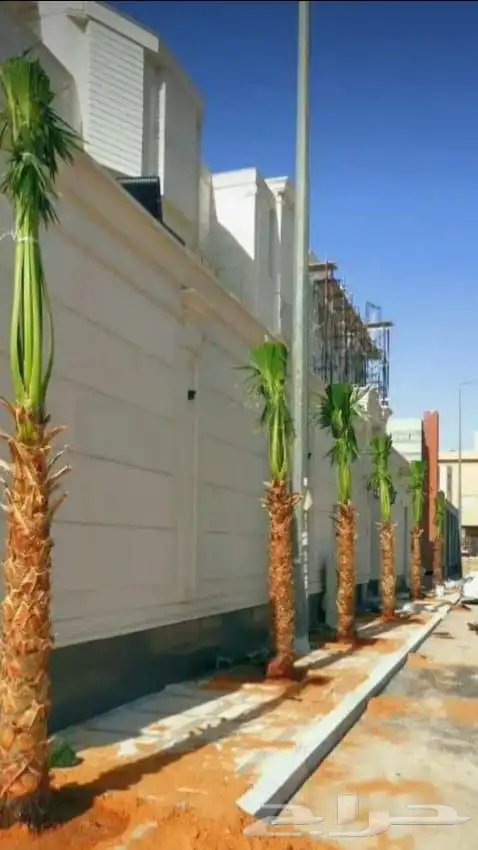 لبيع الحجر طبيعي 4