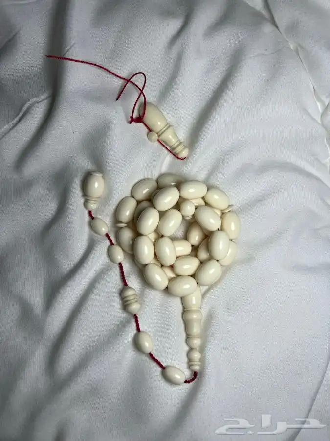 مسباح ضومنه او دومنه 2