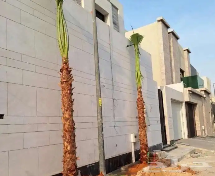 تنسيق الحدائق المنزلية 12