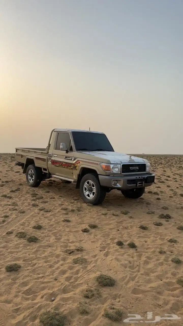 شاص 6