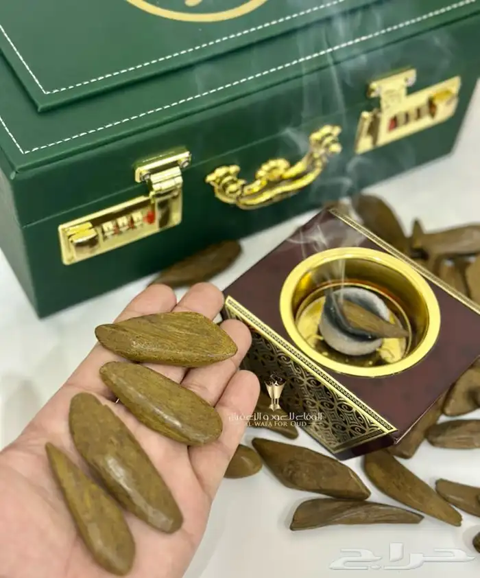 عود مروكي ملكي للمناسبات والمجالس 3