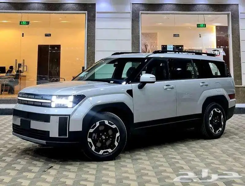 هونداي سنتافي اسمارت موديل 2024 الالوان ابيض واسود فقط 13