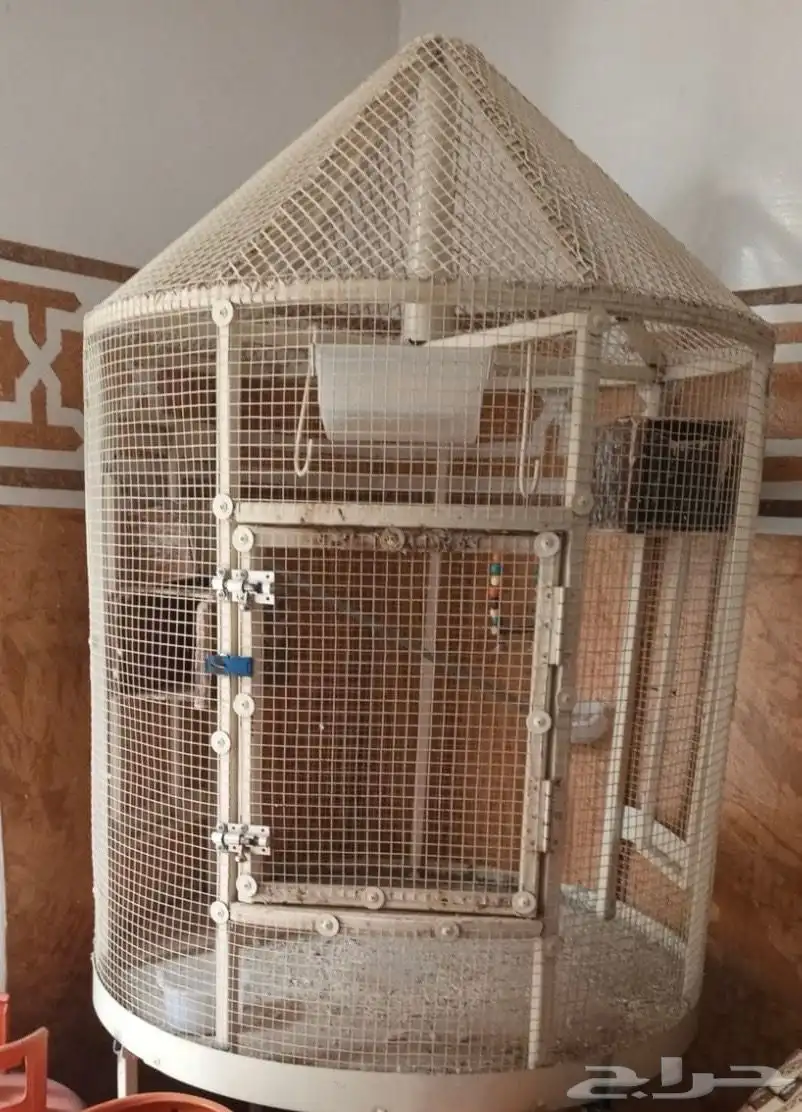 قفص عصافير 1