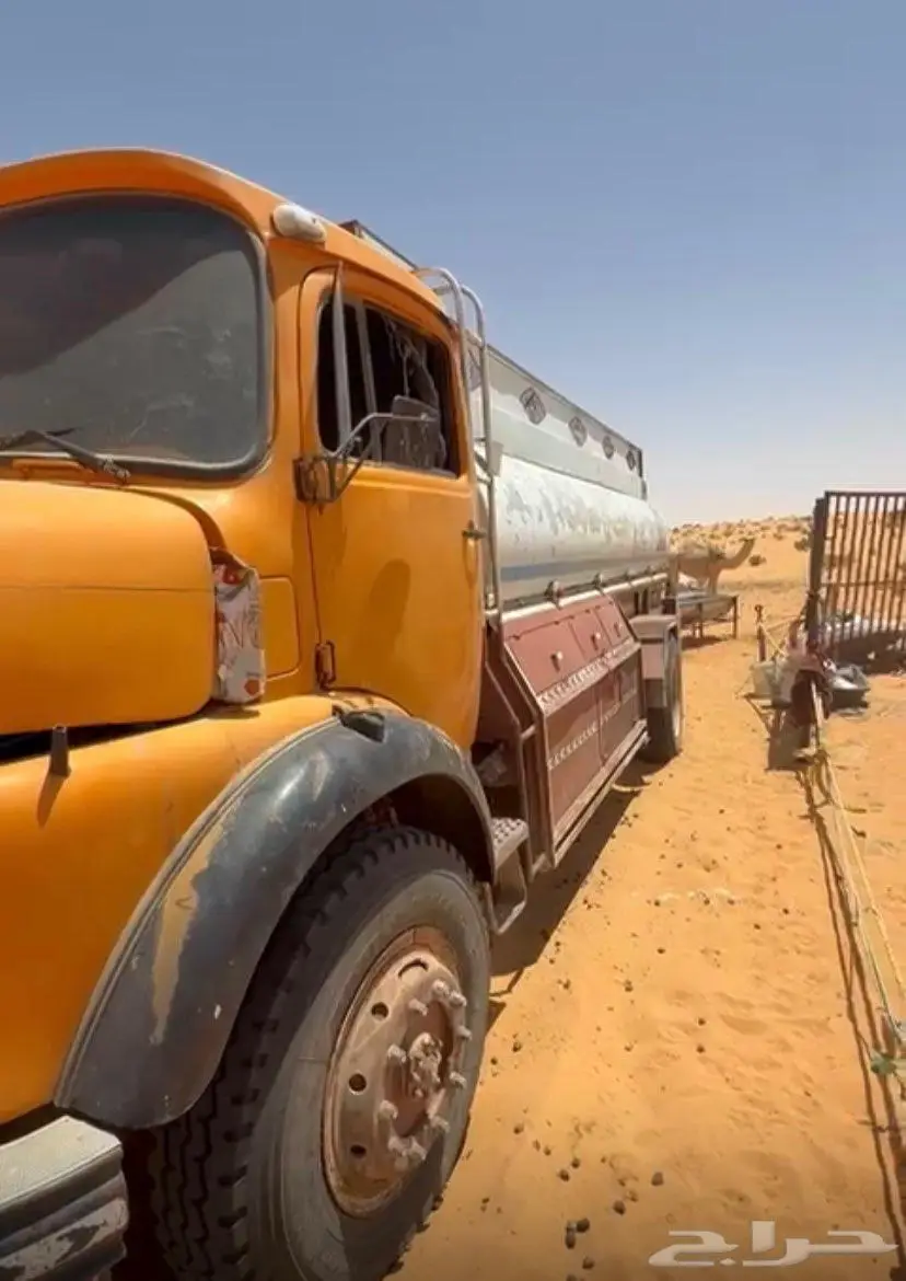 وايت حصنان دبل 78 2