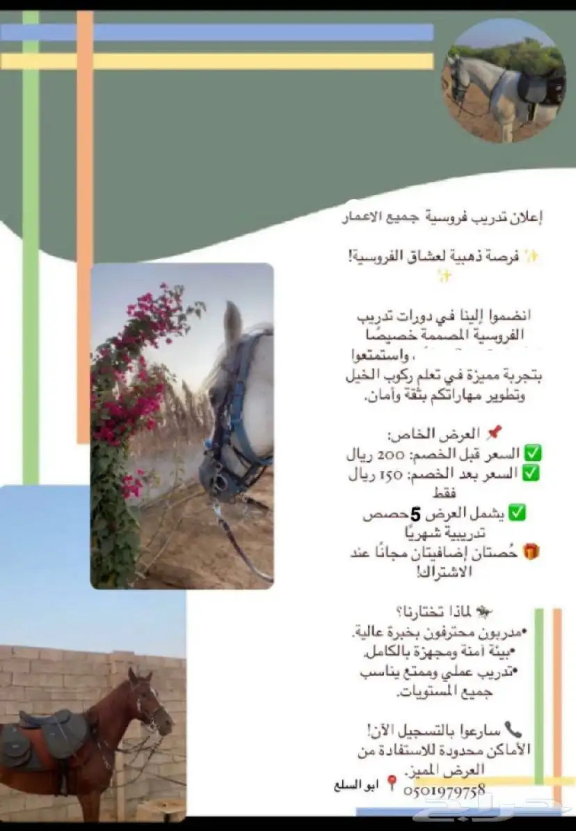 تدريب - خيل 0