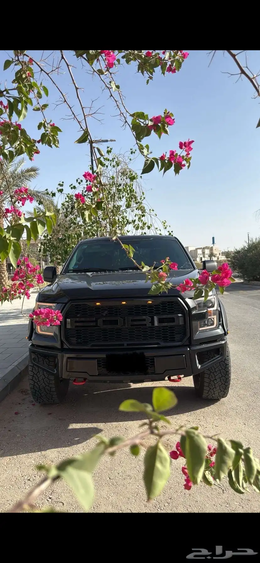 للبيع فورد F150 2015 1