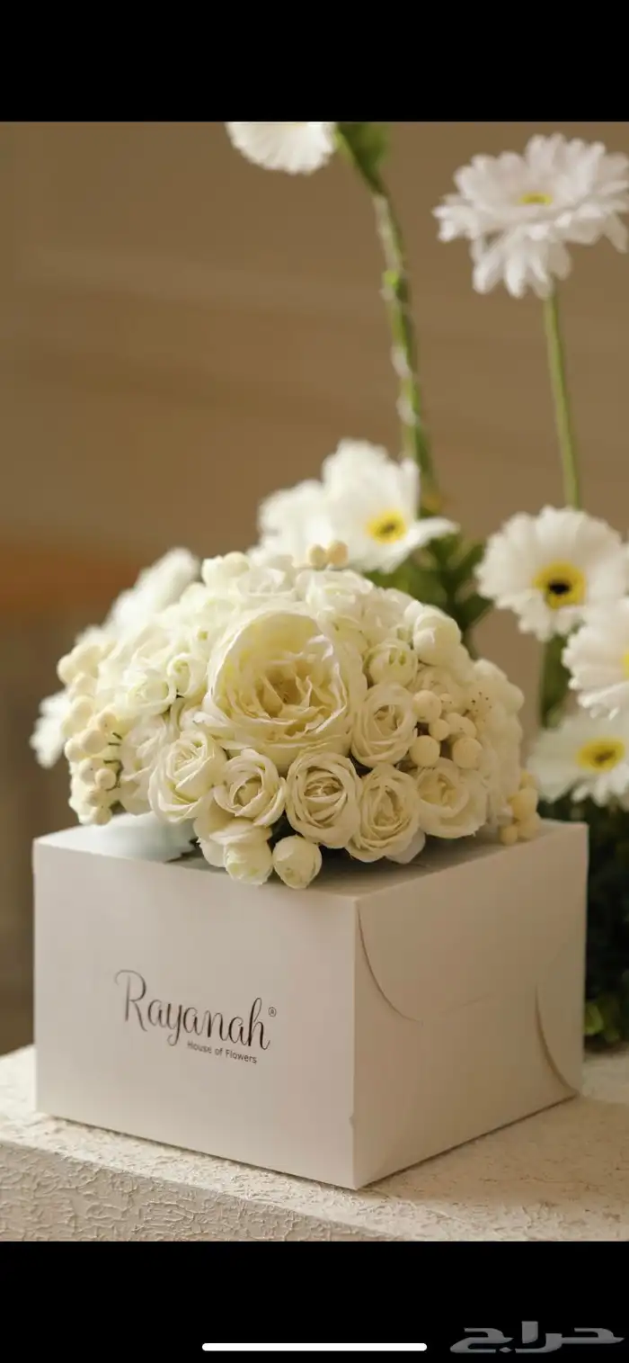 مسكه عروس استخدام 7 ساعات فقط 1