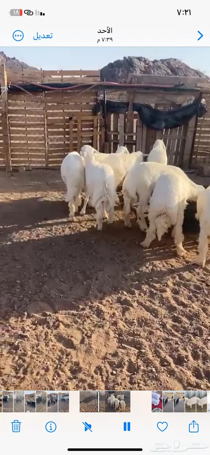 الصناعة 0