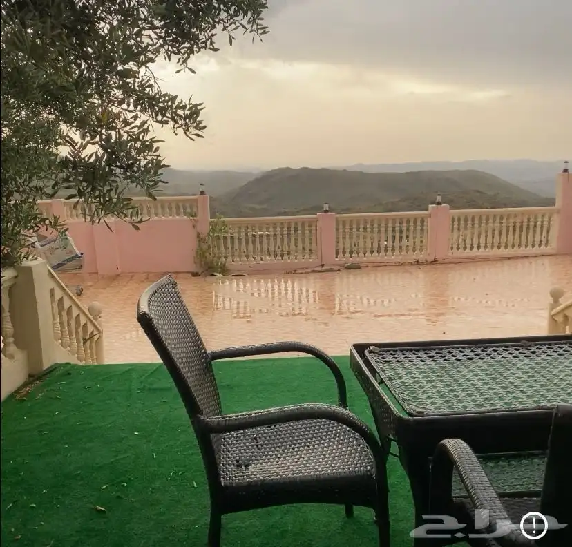 في الباحه بني سار يومي 0