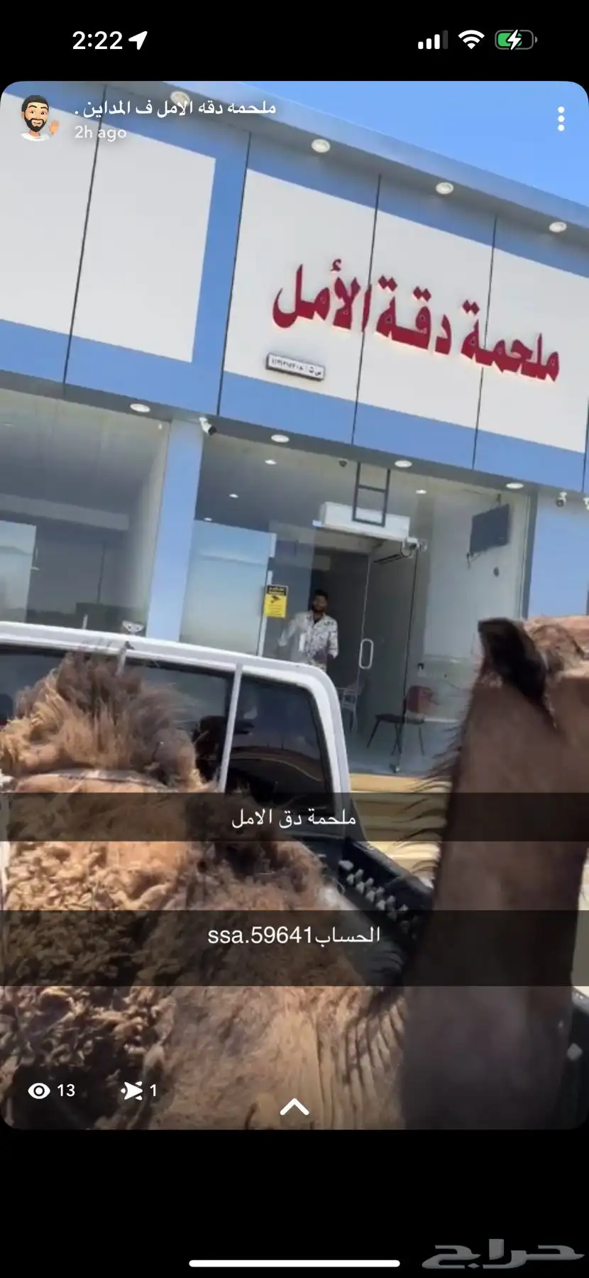 حاشي لباني 0