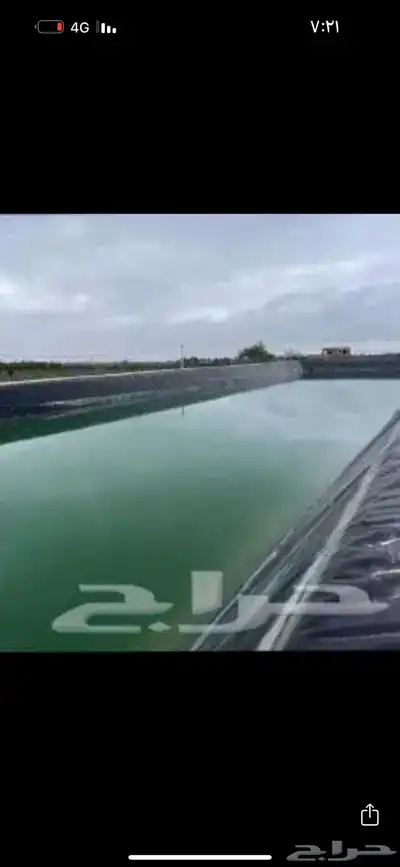 شراعات ماء بركة جميع المقاسات 3