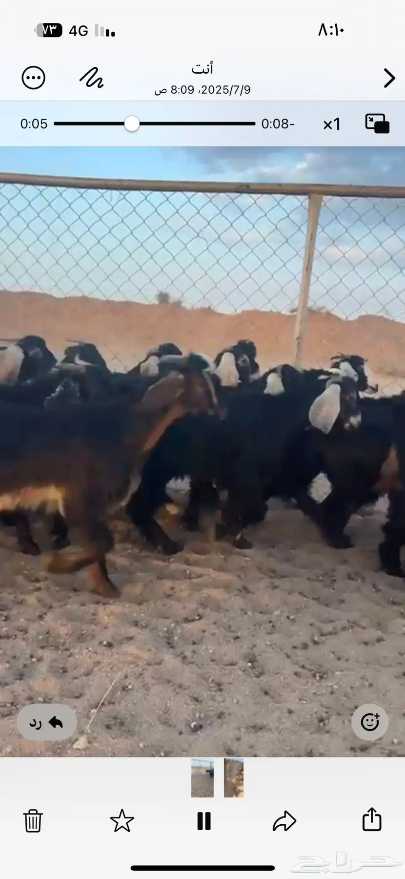 28 عوارض البيع 0