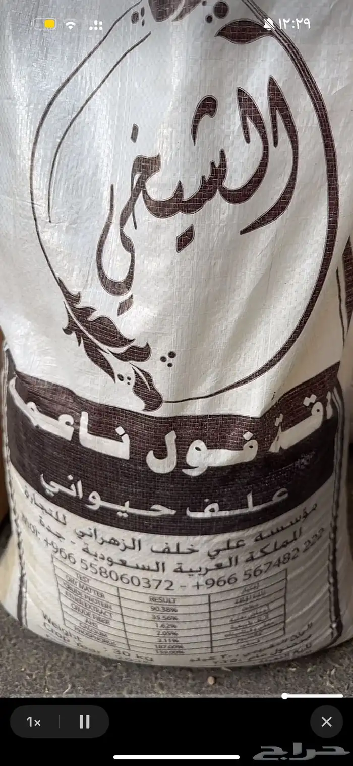 دقة فول فاخره 0