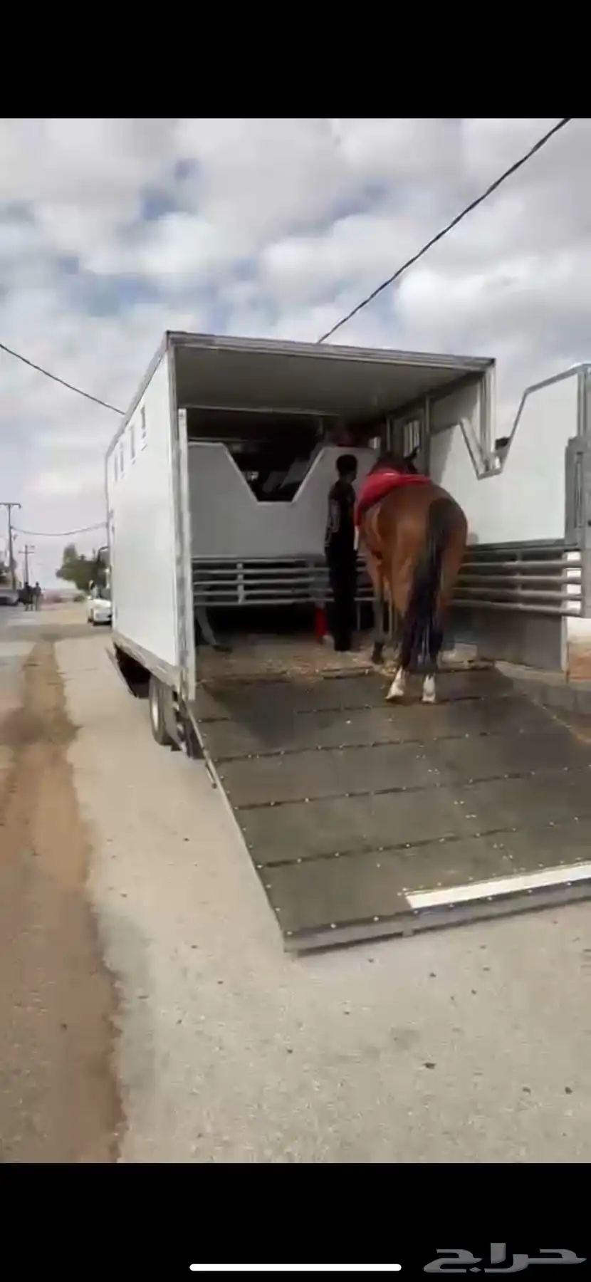 عربة نقل خيل دينا نقل خيل 6 روس تتجه لأي منطقه 2