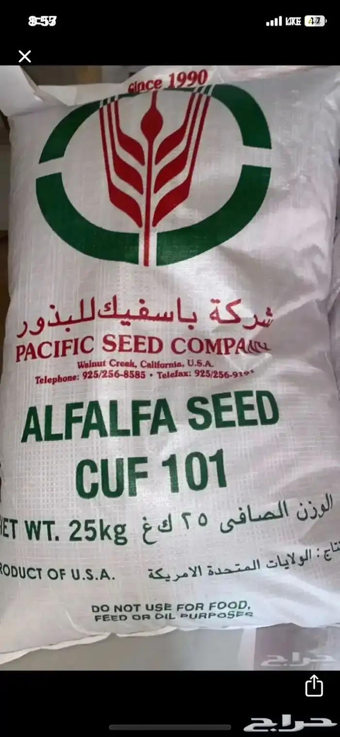 بذور باسفيك 0
