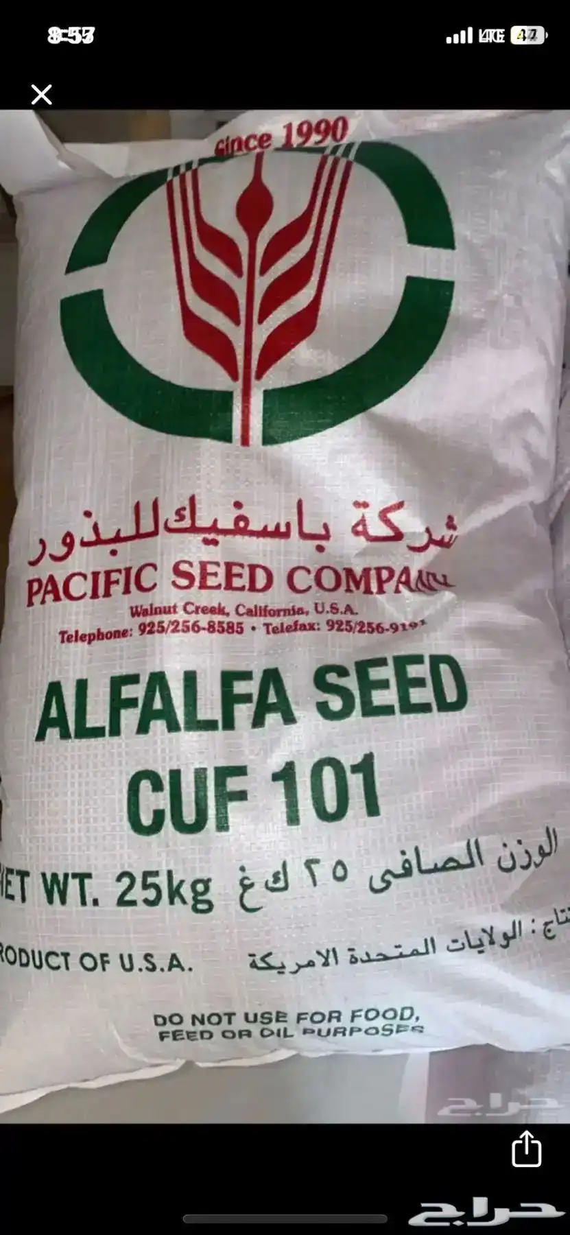 بذور باسفيك 0